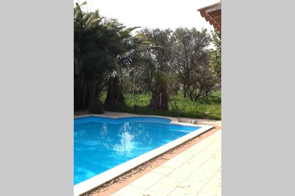 Big Relax Apartment With Swimming Pool And A Peaceful Garden In A Private Villa Sestu Buitenkant foto