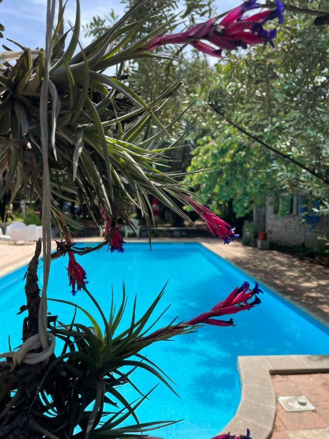 Big Relax Apartment With Swimming Pool And A Peaceful Garden In A Private Villa Sestu Buitenkant foto